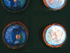 基板外観検査装置 検査項目 PIN有無