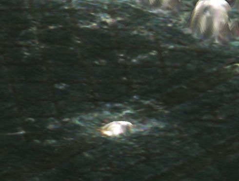 基板外観検査装置 検査項目 異物