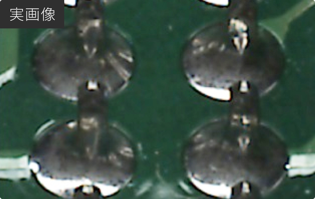 代替テキストテスト（実画像）